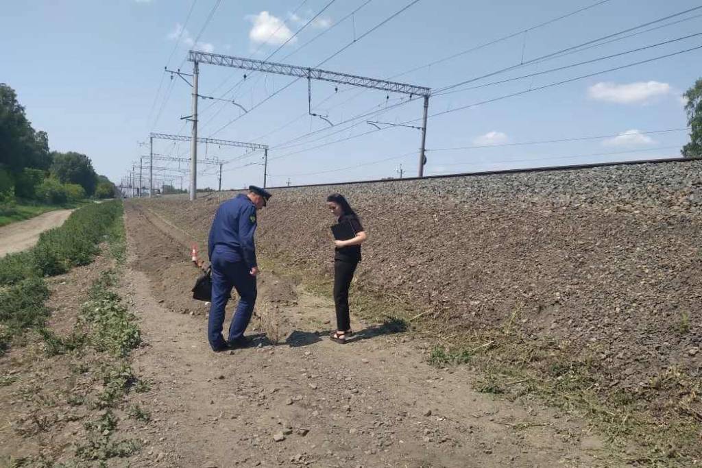 В Новосибирской области девятиклассник разбился на мопеде