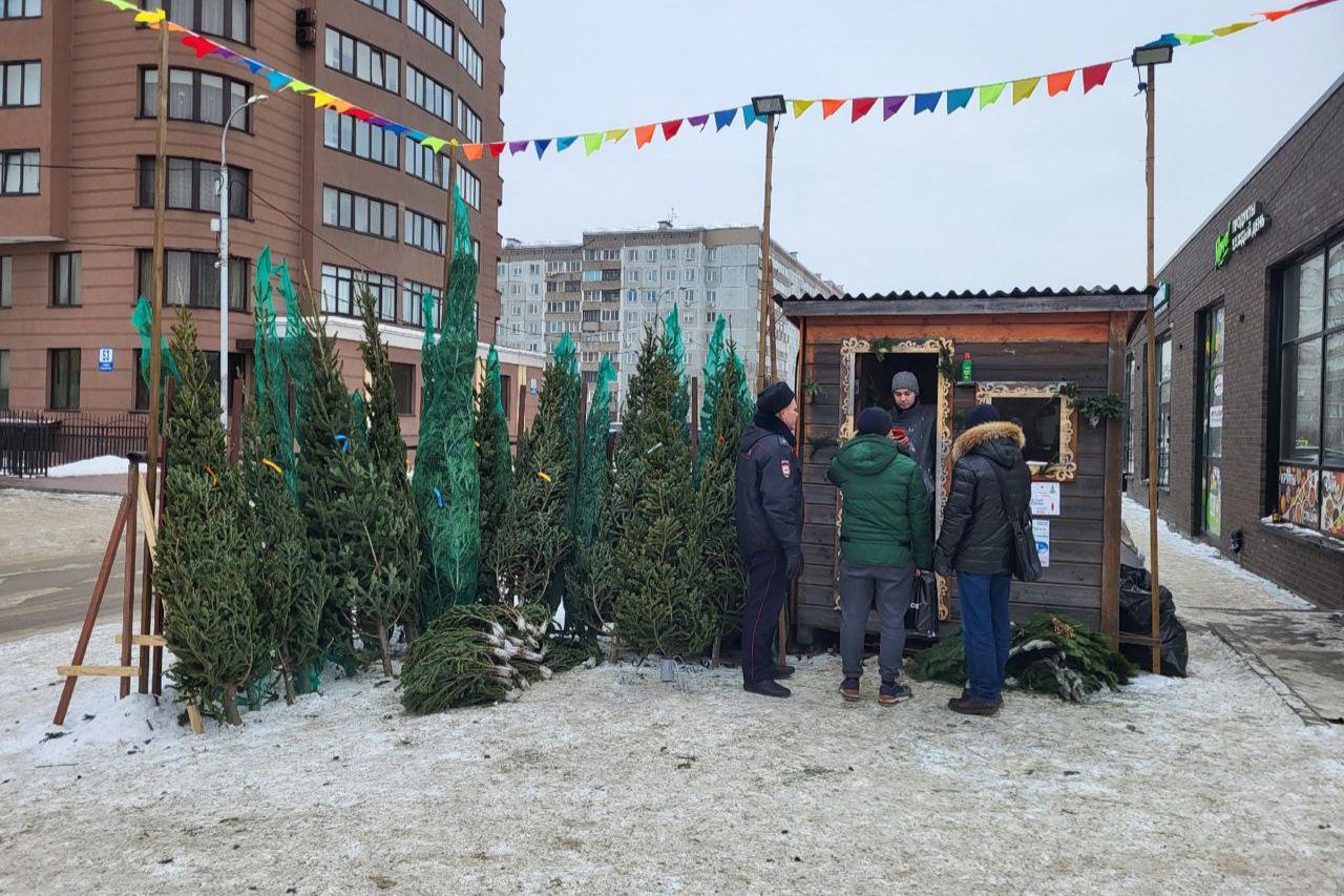 С незаконных базаров в Новосибирске за неделю увезли 430 елей
