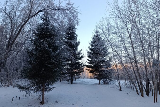 Трехдневный снегопад придет в Новосибирск