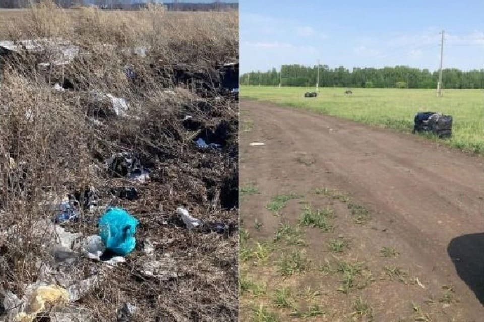 В Новосибирской области ликвидировали незаконную свалку рядом с деревней Новый Шарап