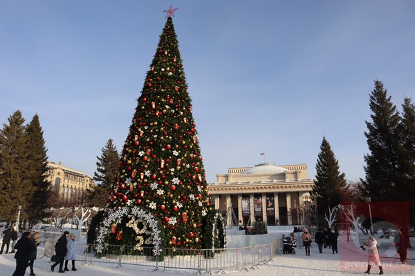 Стала известна точная дата установки главной новогодней елки в Новосибирске
