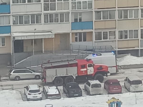 В Новосибирске спасли мужчину из пожара