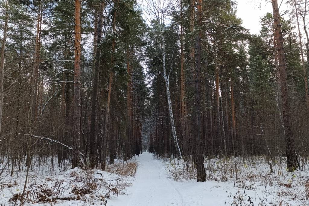 Новосибирцам напомнили о запретах в день Феодора Студита