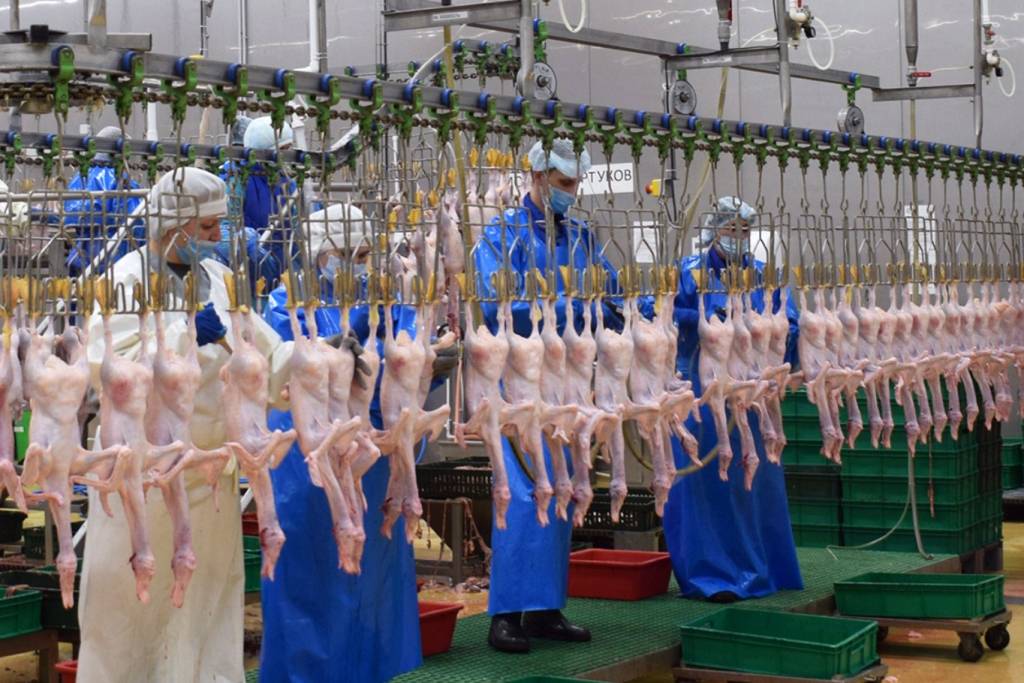 Сотрудники новосибирской птицефабрики пострадали при обрушении