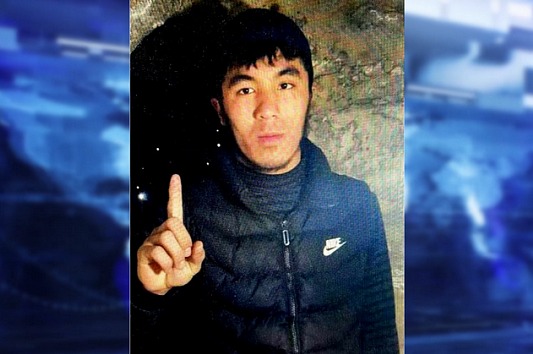 В Новосибирске иностранца осудили за пропаганду терроризма через интернет