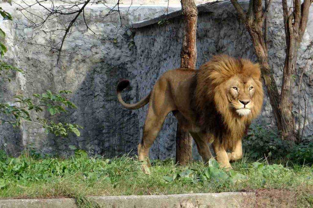 Астрологический прогноз на июль-2023 для всех знаков Зодиака