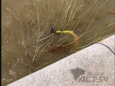 Электросамокат утопили в Оби на Михайловской набережной