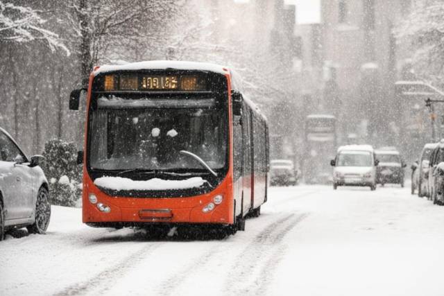 В Новосибирске установят удобные павильоны для отдыха водителей