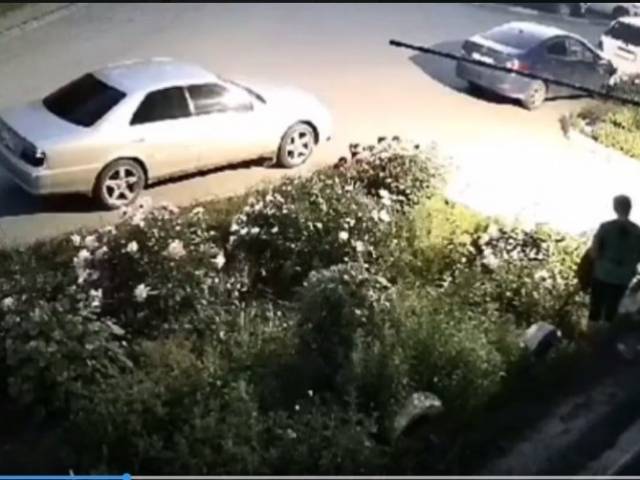 Две старушки изуродовали клумбу в Первомайском районе Новосибирска