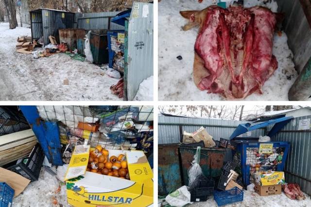 «Мы доведены до отчаяния»: новосибирцы