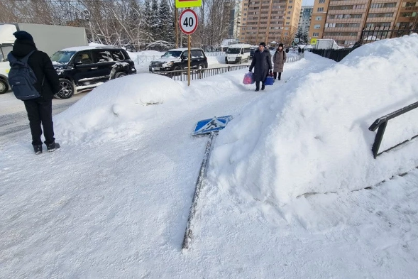 В Новосибирске на голову женщине упал дорожный знак