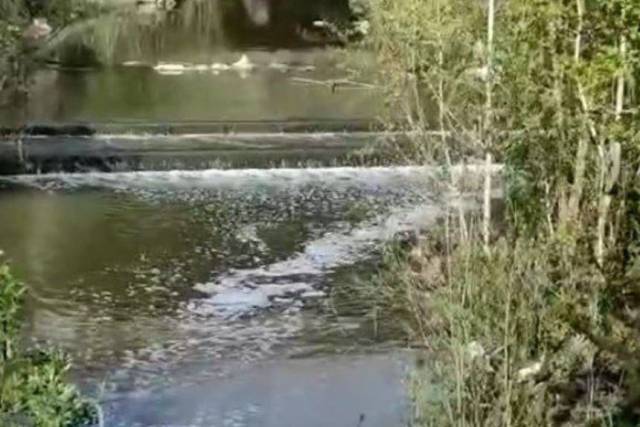 В Новосибирске река Тула покрылась неприятно пахнущей пеной