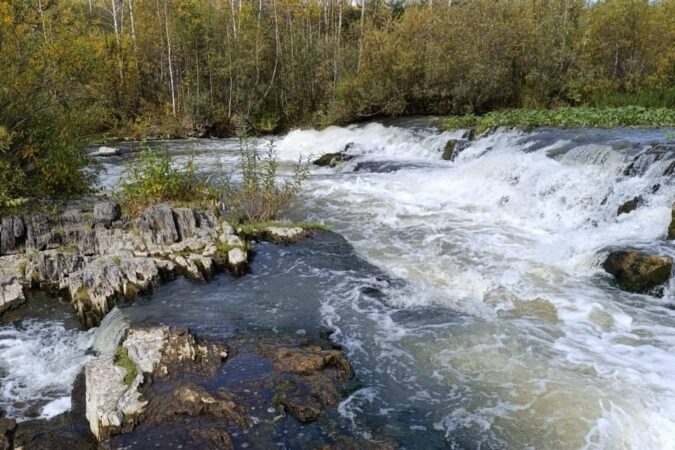 Погода в Новосибирске на завтра – 24 сентября