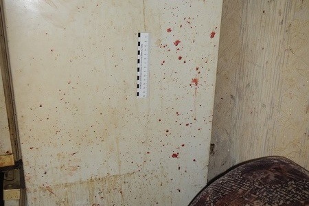 В Новосибирской области молодые парни до смерти забили собутыльника после ссоры