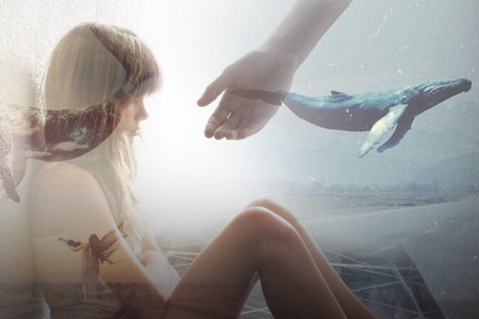 Новосибирца судят за создание суицидального паблика «Синий Кит»