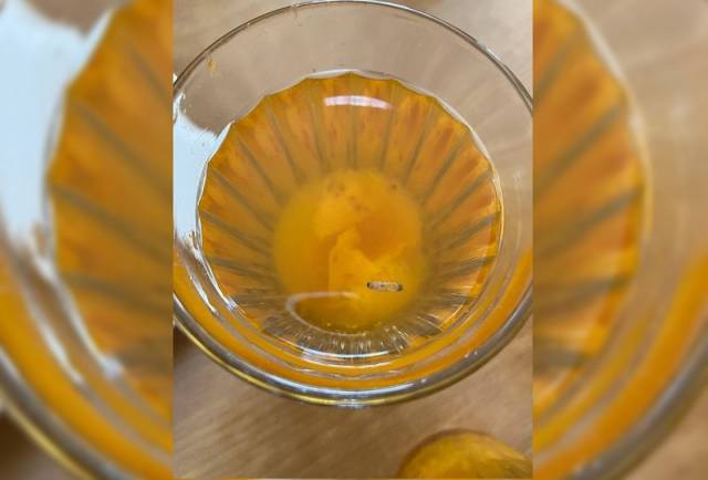 В новосибирской школе детям на обед дали компот с личинкой