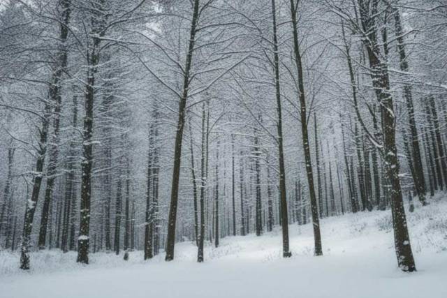 Гороскоп на среду 13 декабря для всех знаков Зодиака
