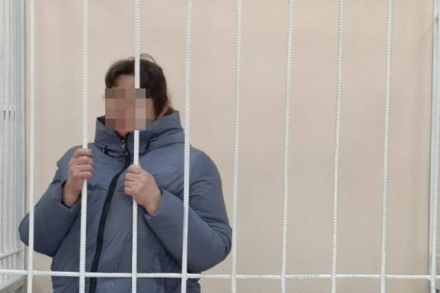 В Новосибирской области убившей младенца женщине предъявили обвинение