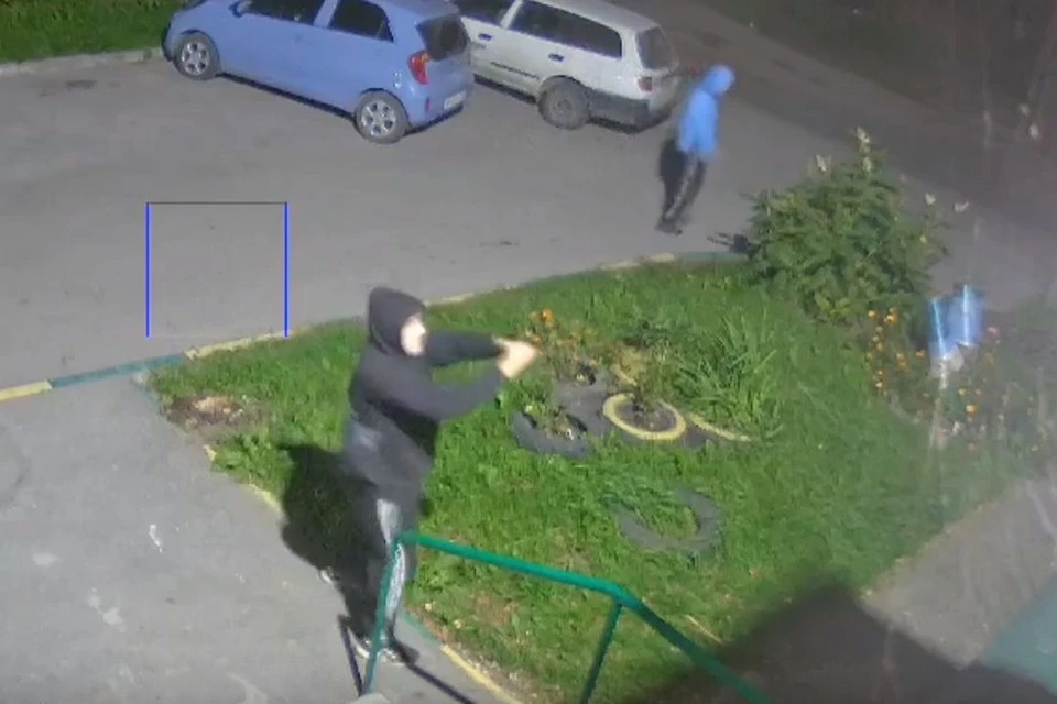 В Новосибирске хулиганы обстреляли припаркованные автомобили и окна жилого дома