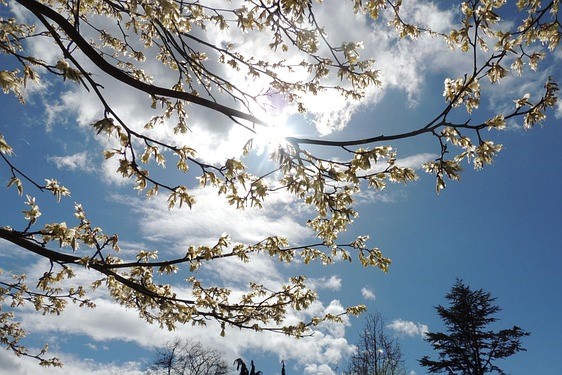 День весеннего равноденствия в 2024 году: дата