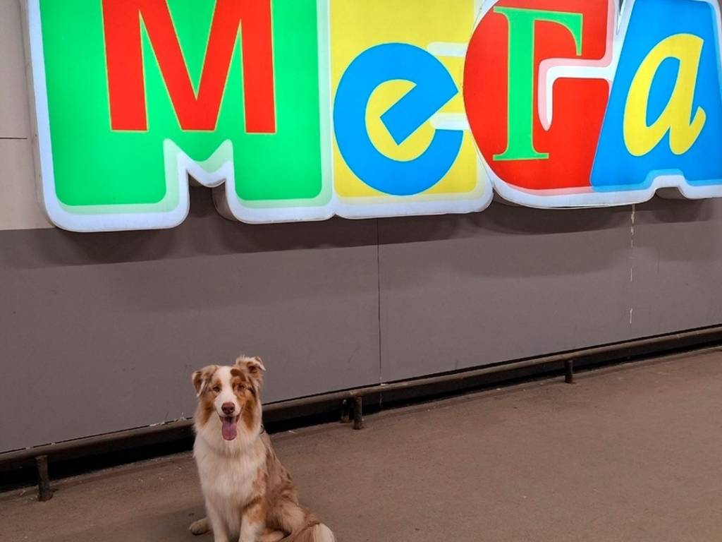 В Новосибирске эвакуировали посетителей и сотрудников «Меги»