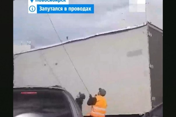 В Новосибирске на «кольце ада» машины стоят уже три часа