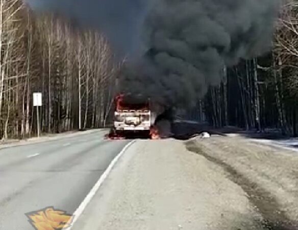 В Новосибирской области в пути загорелся автобус с 30 пассажирами