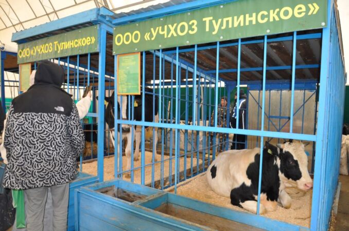 В  «Новосибирск Экспоцентре»  стартовал агропродовольственный форум