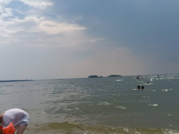 Рекордную за последние полвека жару зафиксировали в Новосибирской области