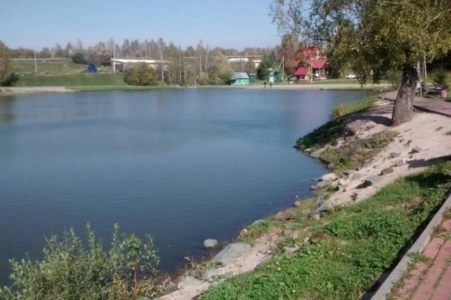 Минприроды не выявило загрязнения в реке Забабуриха в Новосибирской области