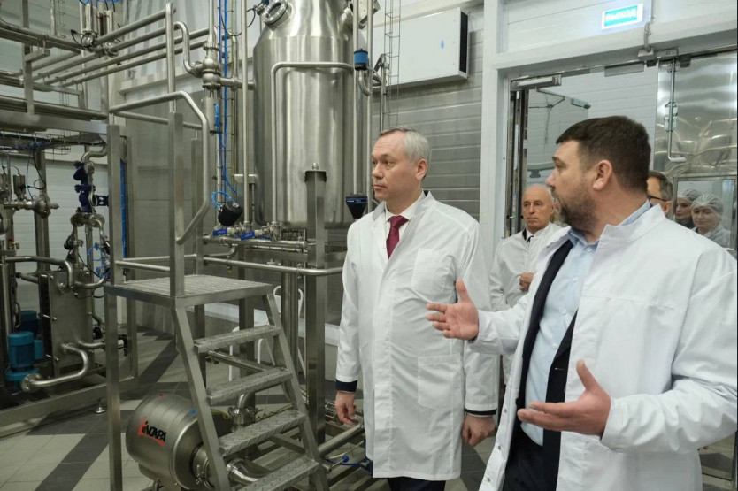 Еще один новосибирский бренд молочной продукции скоро появится на прилавках
