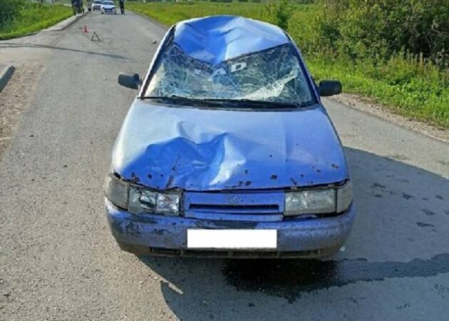 В Новосибирской области водитель ВАЗа насмерть сбил велосипедистку