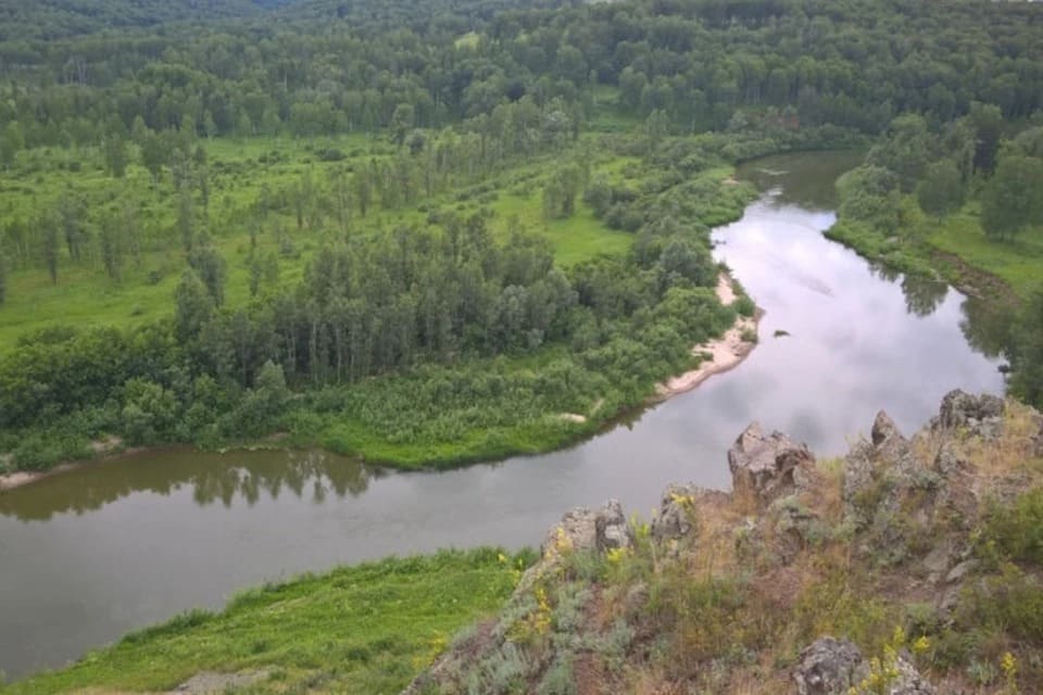 В Новосибирской области прокуратура за год выявила тысячи нарушений в сфере экологии