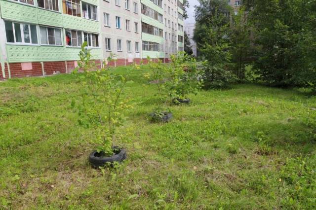 Стоимость аренды квартир выросла в Новосибирске на 25% за год