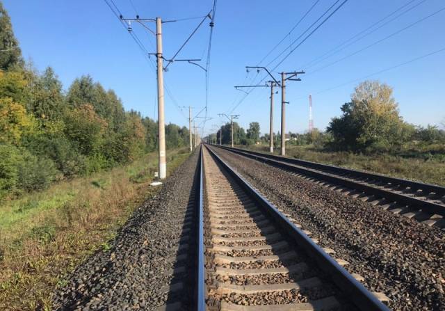 В Новосибирской области поезда задержали на 1