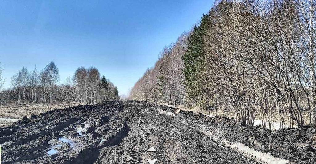 Под Новосибирском жители возмущены состоянием разбитой многотонными грузовиками дороги