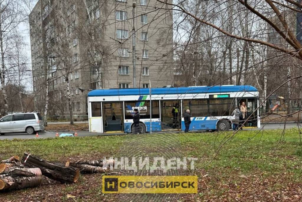 В Новосибирске прокуратура проверит МКП «ГЭТ» после смертельного ДТП с троллейбусом