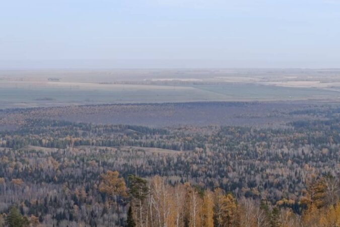 Погода в Новосибирске на 16 октября