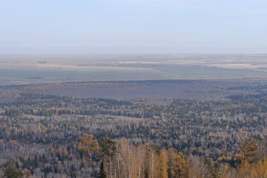 Погода в Новосибирске на 16 октября