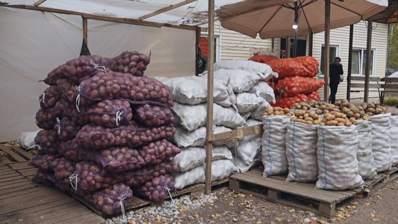 В Новосибирске продолжают борьбу с нелегальными торговцами овощами