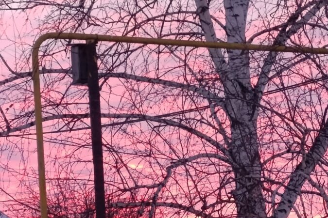 Умерено морозная погода ждет новосибирцев в середине недели