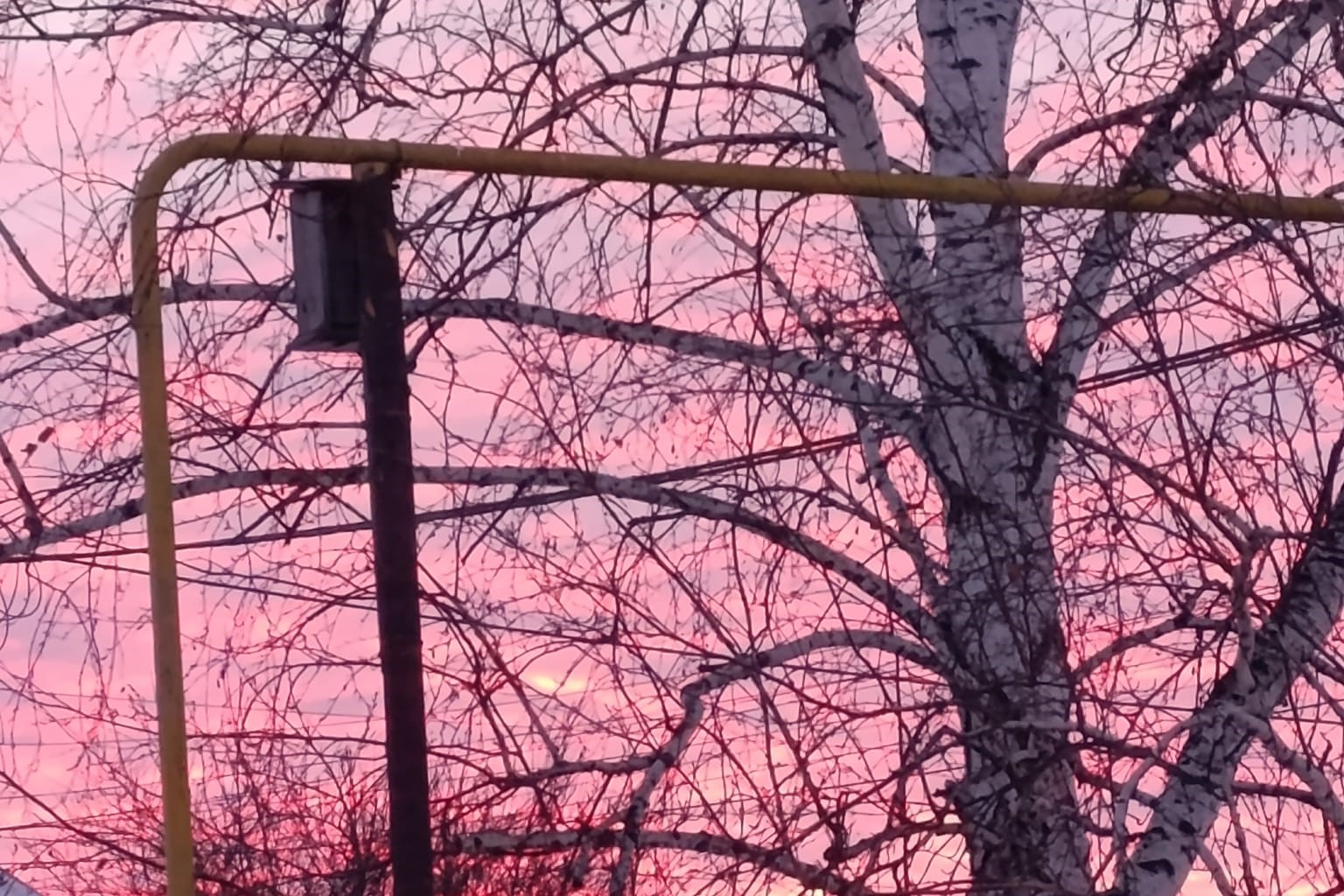 Умерено морозная погода ждет новосибирцев в середине недели