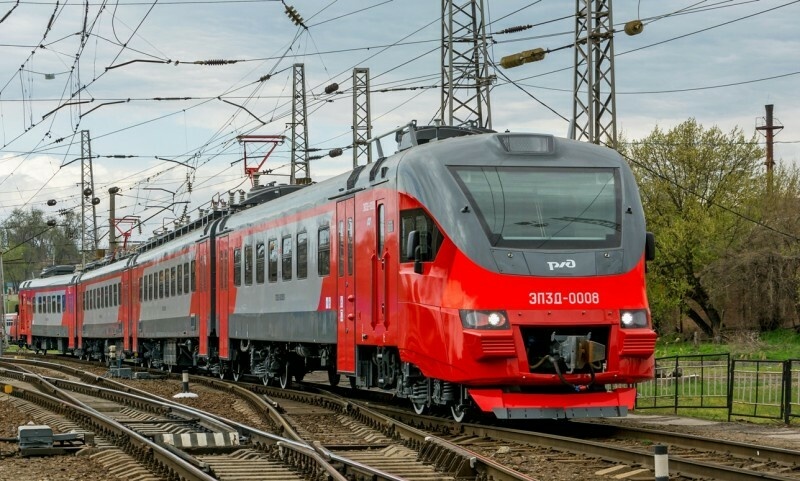 В Новосибирской области медведь вышел на ЖД-пути и на 2 часа перекрыл движение поездов