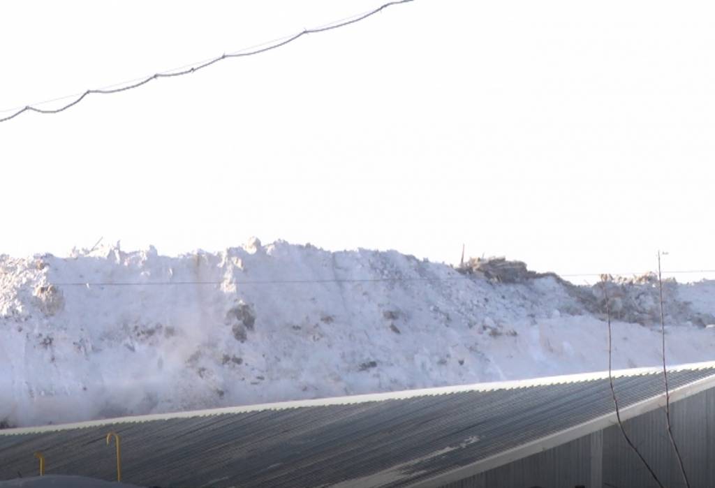 Глава Росприроднадзора РФ назвала Новосибирск одним из самых замусоренных городов страны