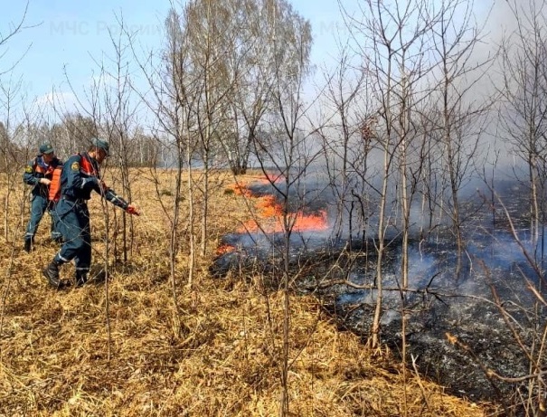 В Новосибирской области 9 мая из-за крупного пожара эвакуировали жителей деревни