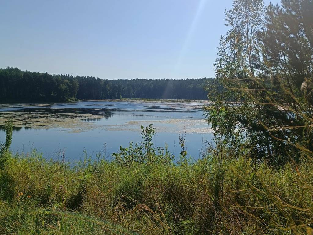Не жарко и дождливо – погода на завтра в Новосибирске