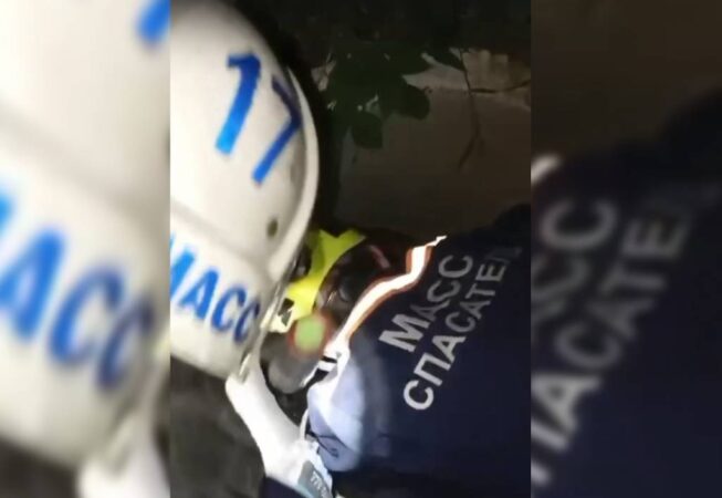 В Новосибирске спасатели помогли выбраться упавшей в колодец собаке
