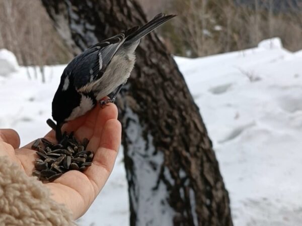Приметы и запреты на завтра 5 апреля – какой церковный праздник отметят христиане