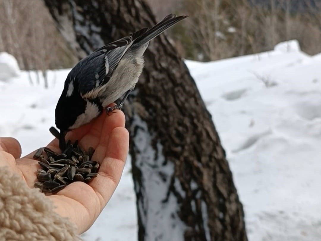 Приметы и запреты на завтра 5 апреля – какой церковный праздник отметят христиане