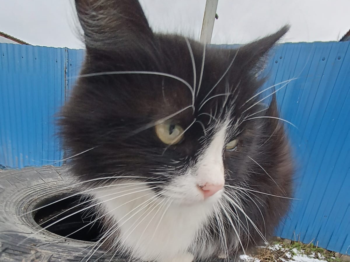 Снег и мороз прогнозируют синоптики в Новосибирске завтра 8 апреля